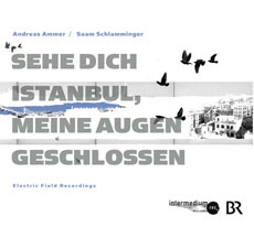 Sehe Dich Istanbul, meine Augen geschlossen / Schlamminger